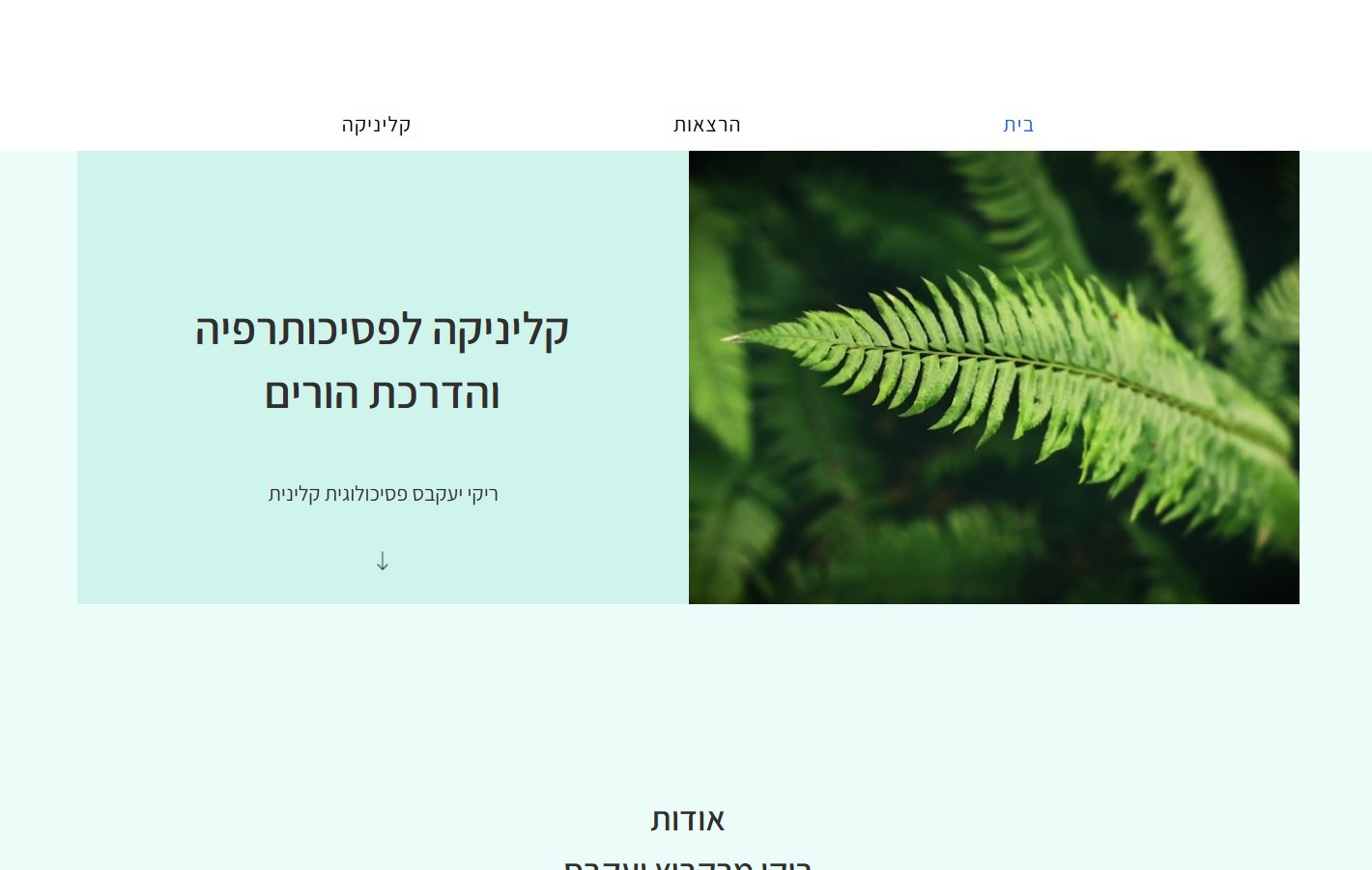 האתר הישן של ריקי יעקבס — תבנית וויקס לפני הבנייה מחדש